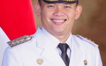 Moratorium Hambat Pembentukan Provinsi Luwu Raya