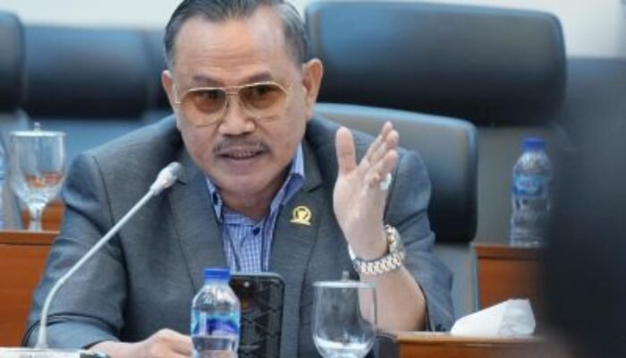 48 Ekor Kerbaunya Tertahan di Karantina Surabaya, JFK Bantu Pengusaha Toraja