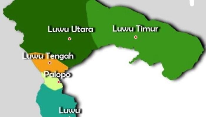 Hasil Kajian Kelaiakan Calon DOB Provinsi Luwu raya Raih Skor 410 Kategori “Mampu”