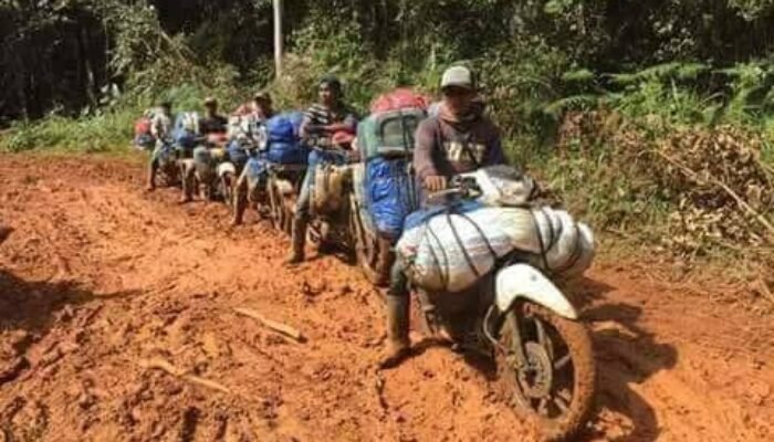 Tujuh Ruas Jalan di Luwu Raya Dikerja Tahun Ini, Seko jadi Prioritas