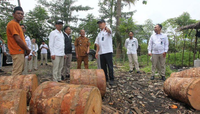 Wadirut Bulog Marga Taufiq Harap Pemda Se-Luwu Raya Menjaga Kelestarian Pohon Sagu