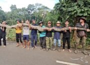 Guinness World Records Tetapkan Ular Sanca Kembang Ditemukan di Maros, sebagai Ular Liar Terpanjang Dunia 7,22 Meter