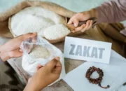 Menteri Agama Nasaruddin Umar Minta Maaf Atas Pernyataan Soal Zakat Tidak Wajib